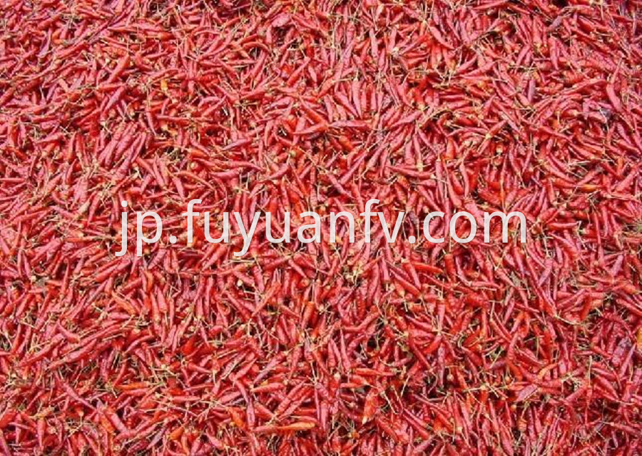 Chaotian Red Chili